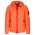 Down jacket Stone Island  