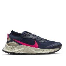 Кросівки Nike Pegasus Trail 3 Gore-Tex