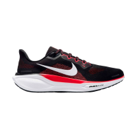 Кроссовки Nike Air Zoom Pegasus 41