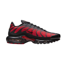 Кросівки Nike Air Max Plus