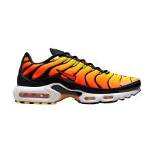 Кросівки Nike Air Max Plus 2024