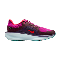 Кроссовки Nike Winflo 11 GORE-TEX SE