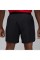 Air Jordan Dri-Fit Shorts