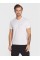 Set of 2 T-shirts Emporio Armani