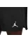 Шорты Air Jordan Dri-Fit