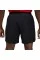 Шорты Air Jordan Dri-Fit